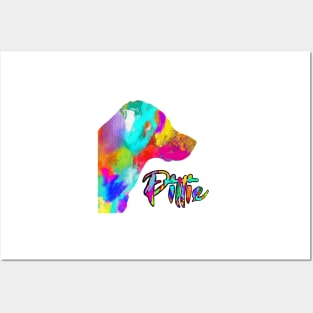 Pit bull Colorful Posters and Art